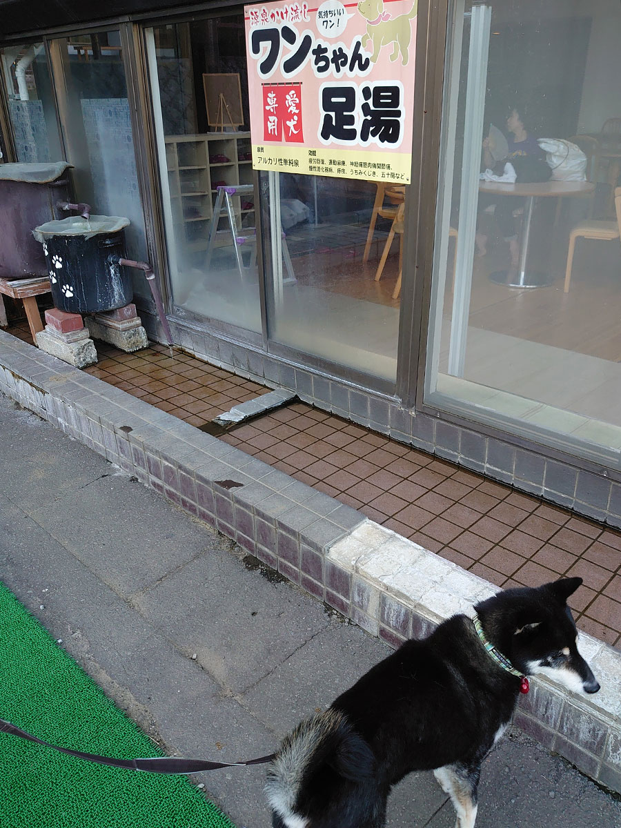 f:id:tsuruten:20200826212459j:plain