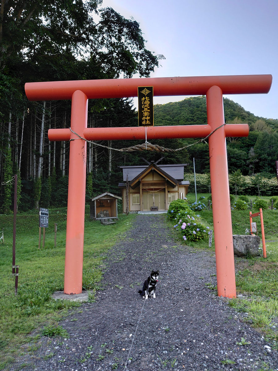 f:id:tsuruten:20200826212503j:plain