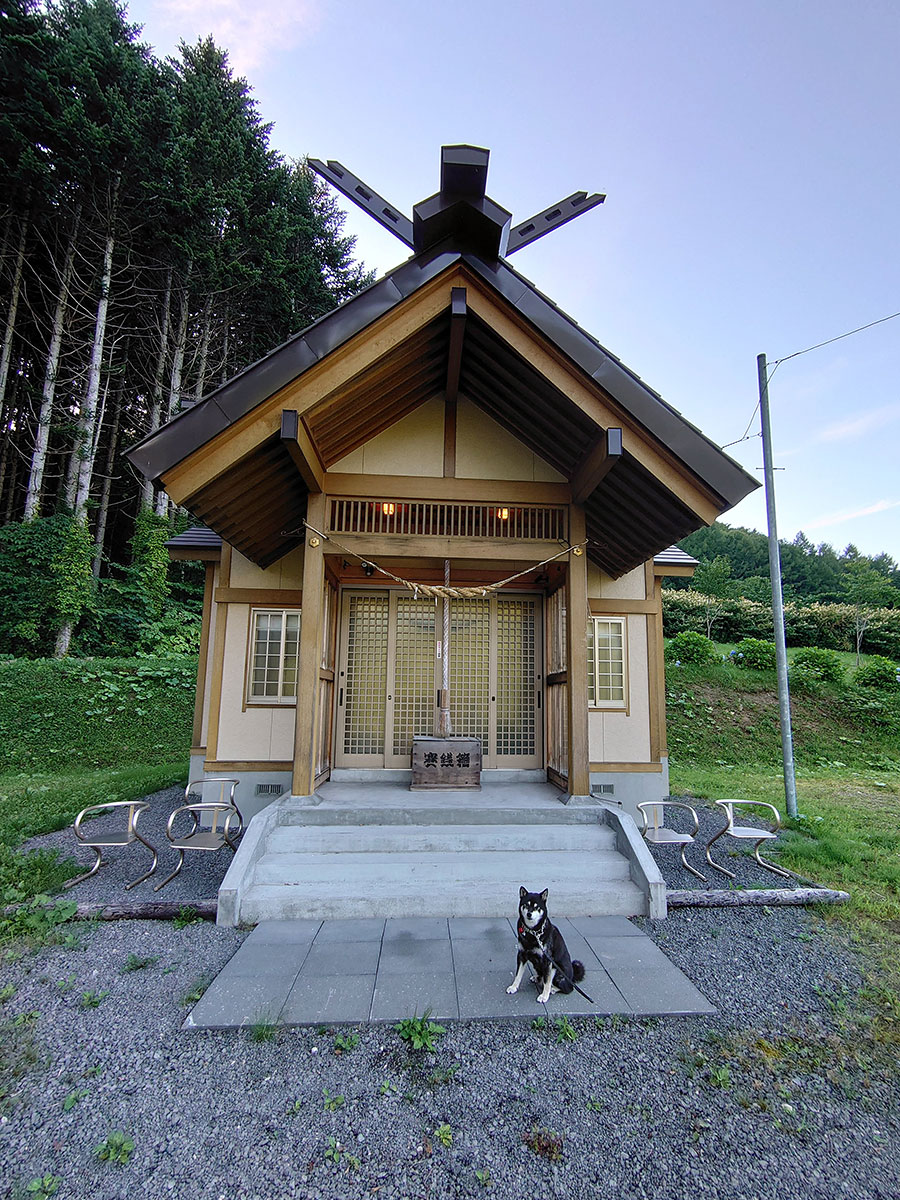 f:id:tsuruten:20200826212506j:plain