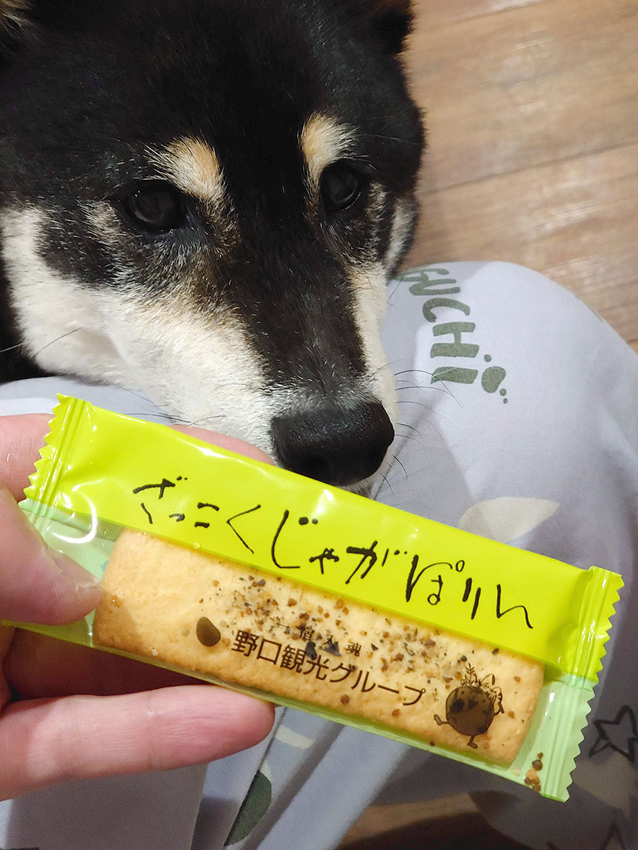 f:id:tsuruten:20200826212532j:plain