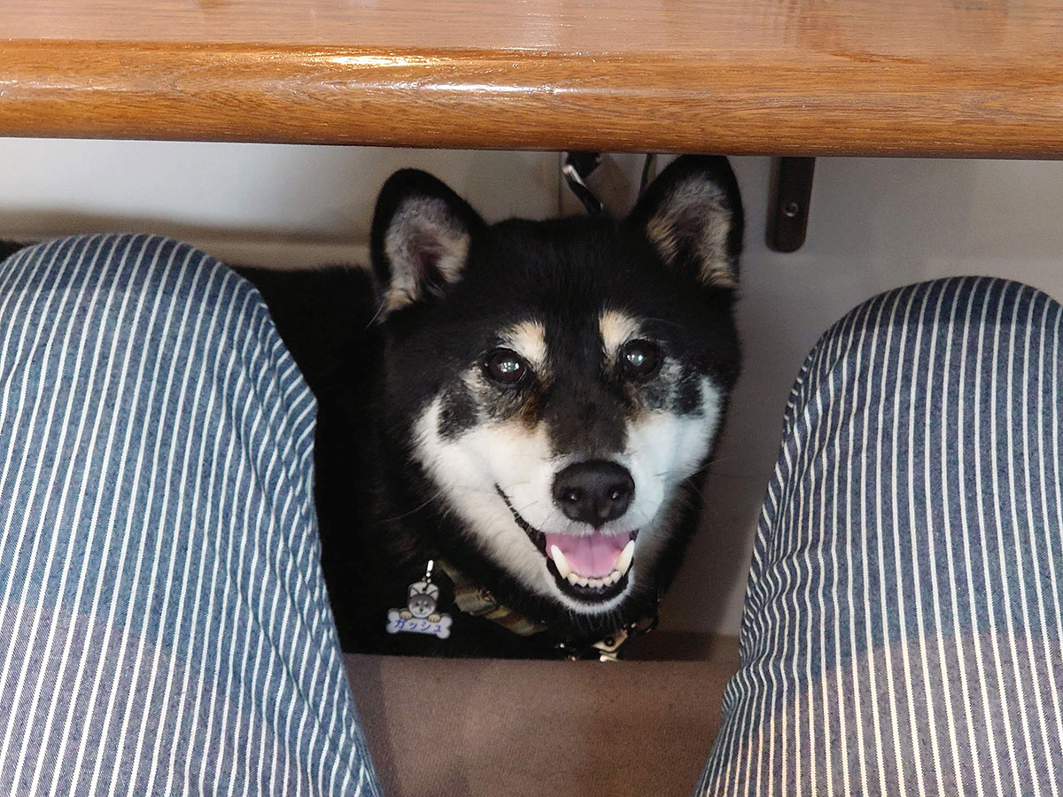 f:id:tsuruten:20200830203927j:plain f:id:tsuruten:20200830203927j:plain
