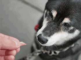 f:id:tsuruten:20200909233858g:plain f:id:tsuruten:20200909233858g:plain