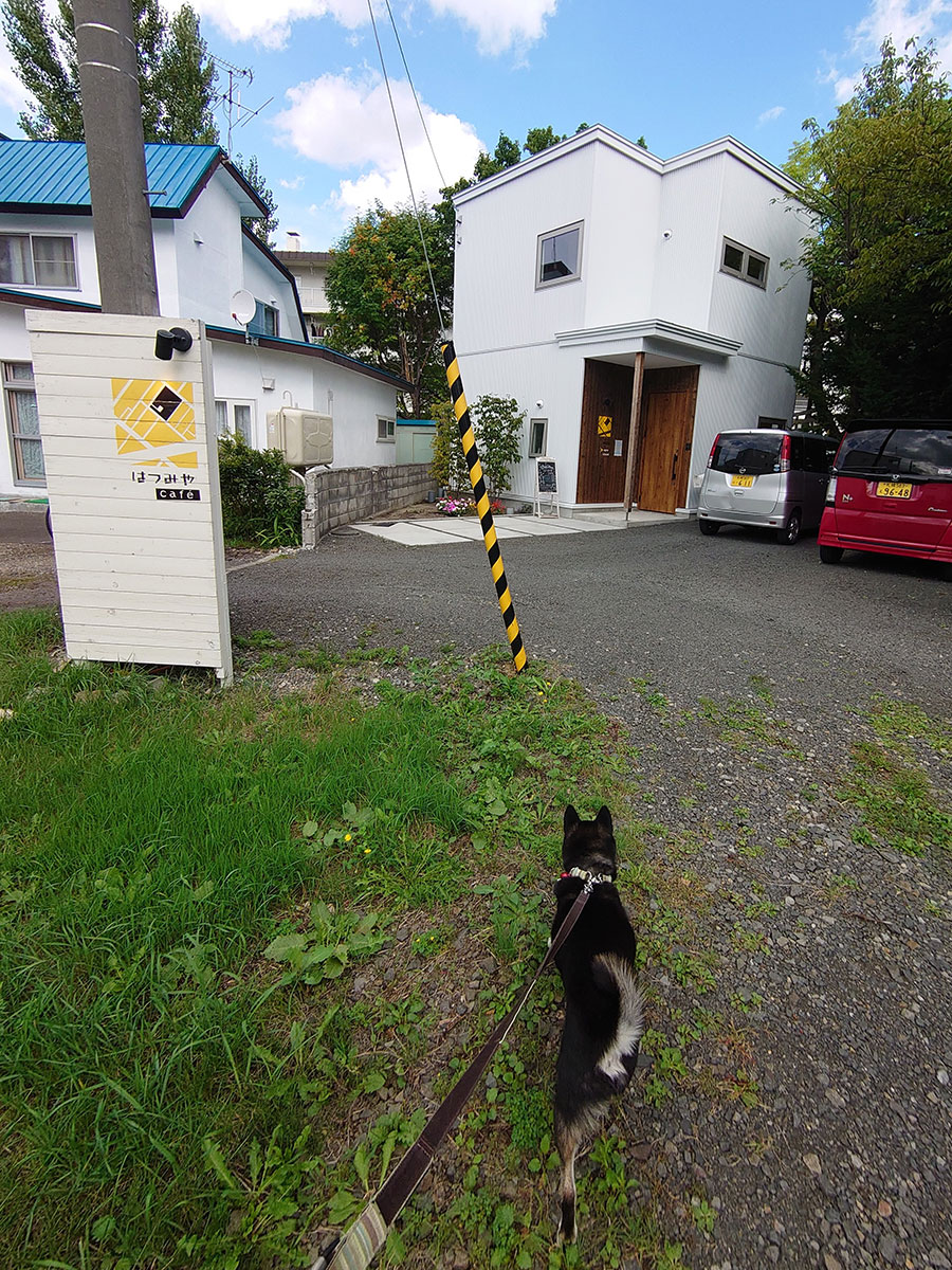 f:id:tsuruten:20200930212253j:plain