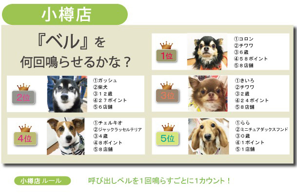 f:id:tsuruten:20201025193658j:plain f:id:tsuruten:20201025193658j:plain
