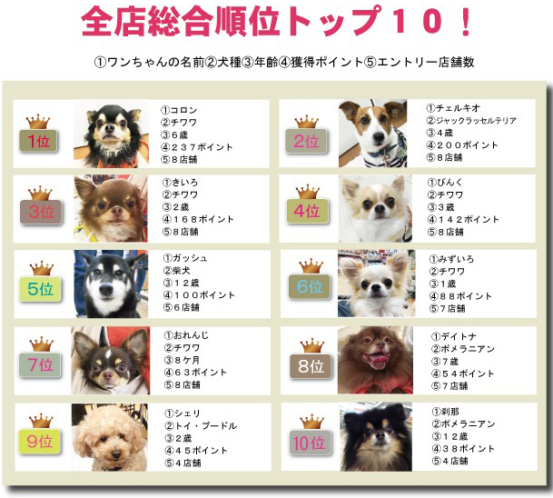 f:id:tsuruten:20201025193923j:plain f:id:tsuruten:20201025193923j:plain