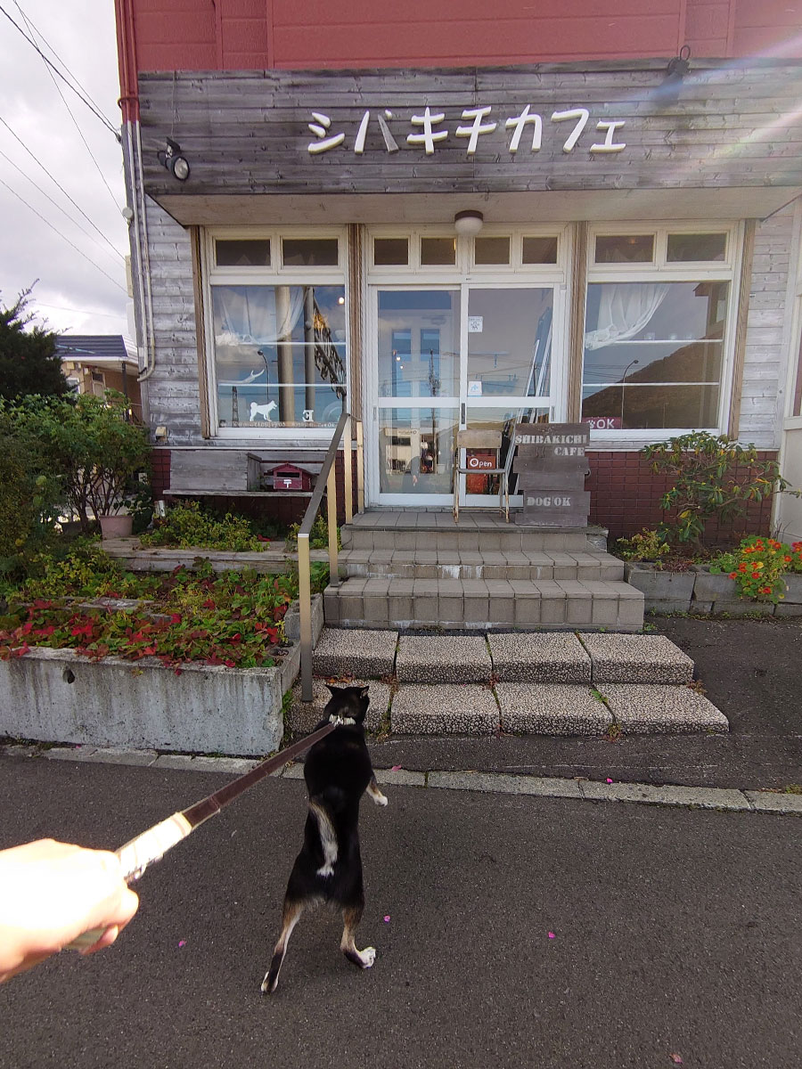 f:id:tsuruten:20201029215500j:plain