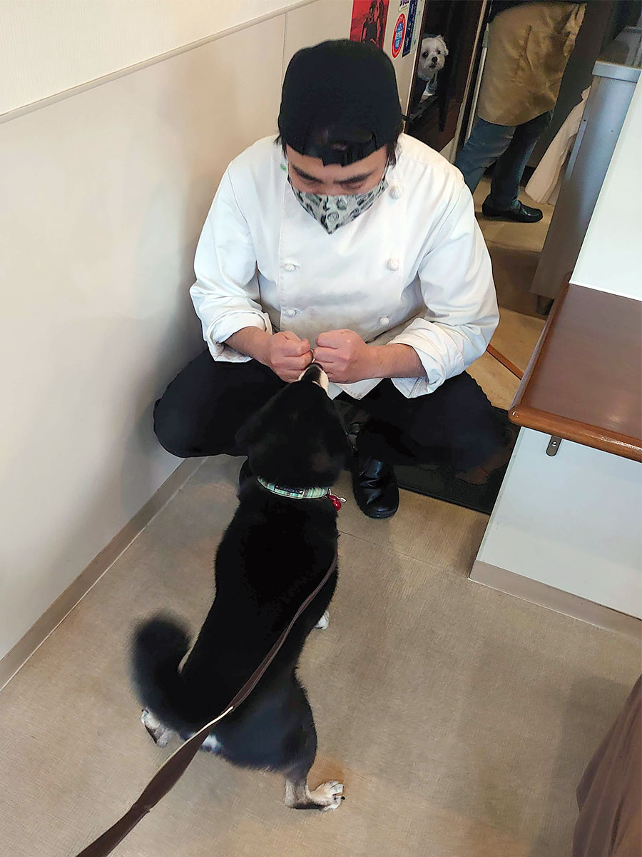 f:id:tsuruten:20201029224838j:plain