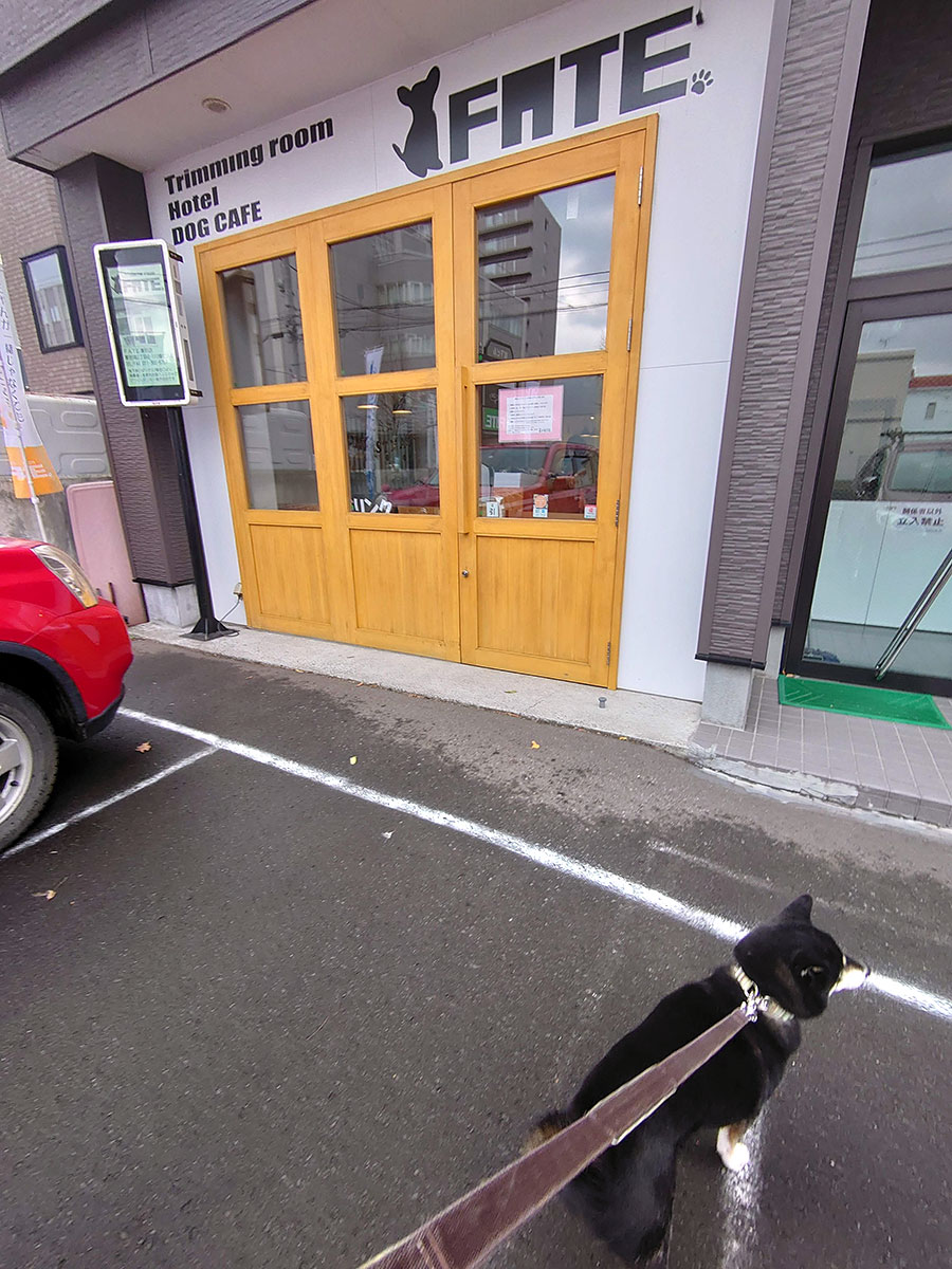 f:id:tsuruten:20201204223652j:plain