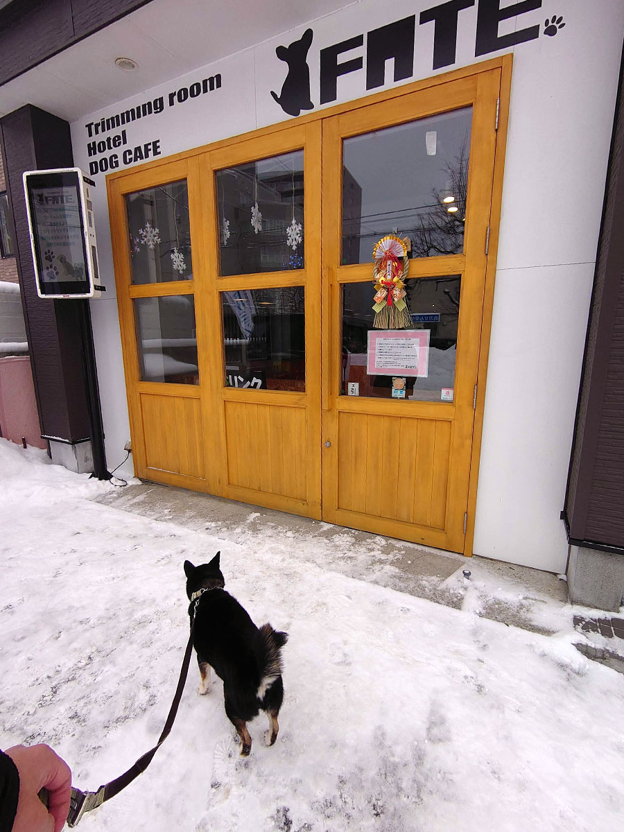 f:id:tsuruten:20210207111908j:plain