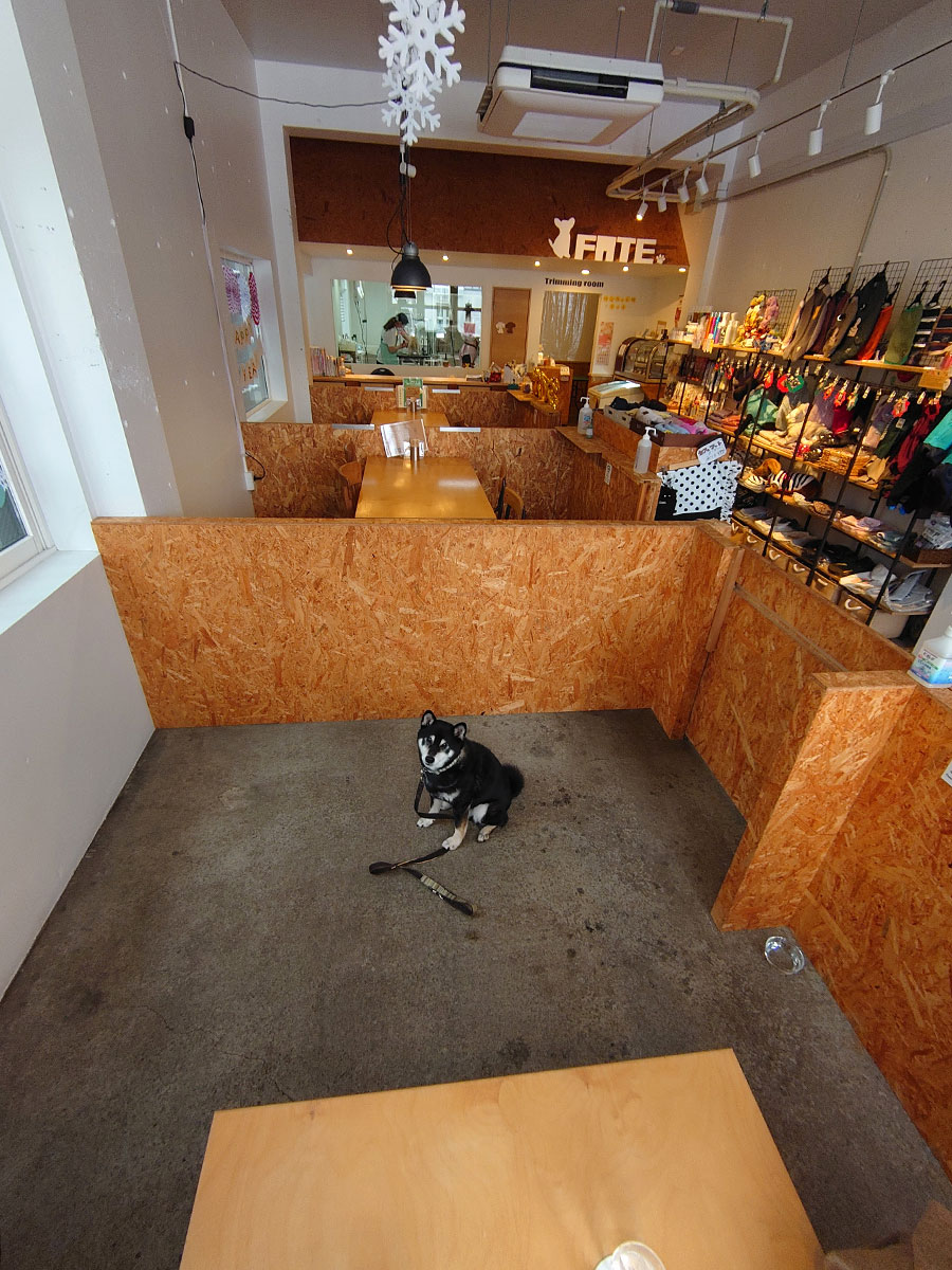 f:id:tsuruten:20210207111915j:plain