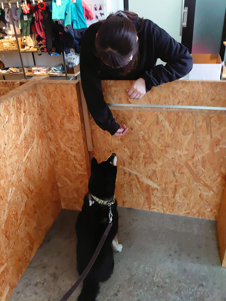 f:id:tsuruten:20210207111942j:plain