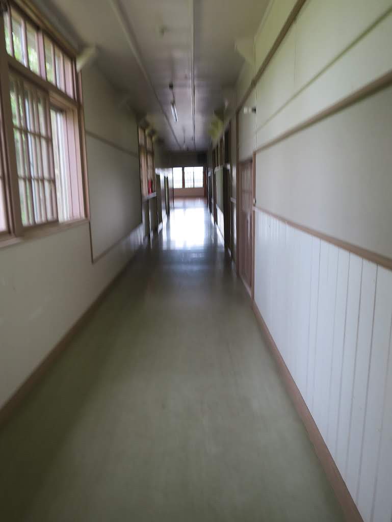 f:id:tsuruten:20210519172149j:plain