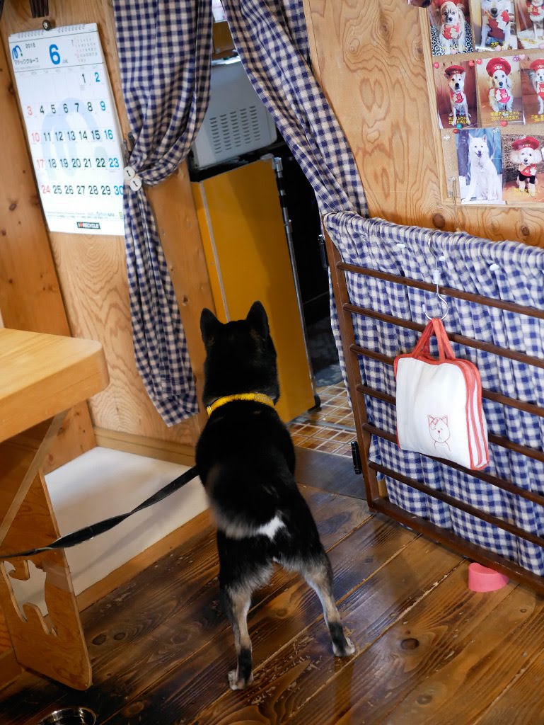 f:id:tsuruten:20210520091859j:plain