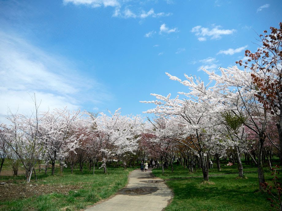 f:id:tsuruten:20210520092455j:plain