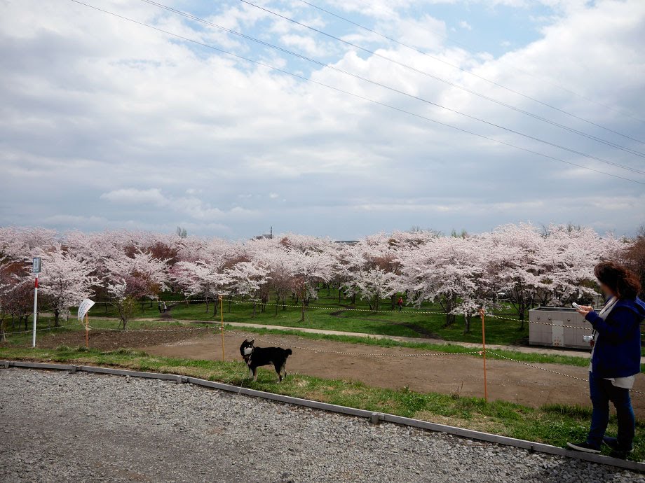 f:id:tsuruten:20210520092622j:plain