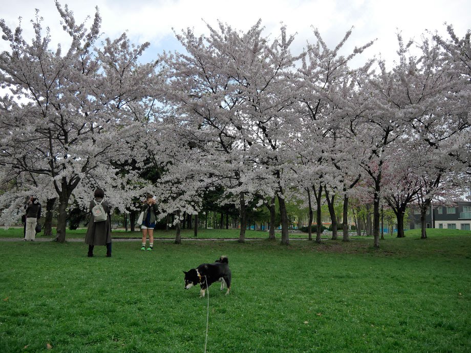 f:id:tsuruten:20210520092652j:plain