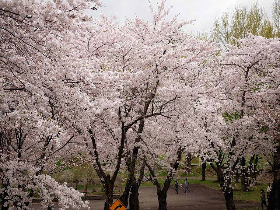 f:id:tsuruten:20210520092745j:plain