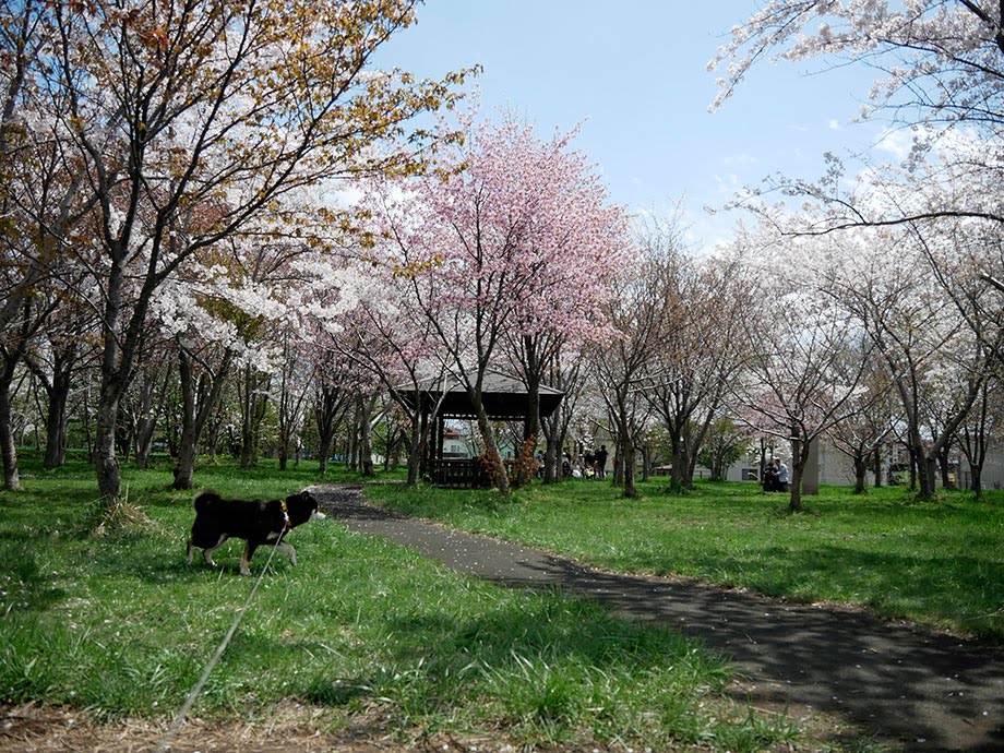 f:id:tsuruten:20210520093339j:plain