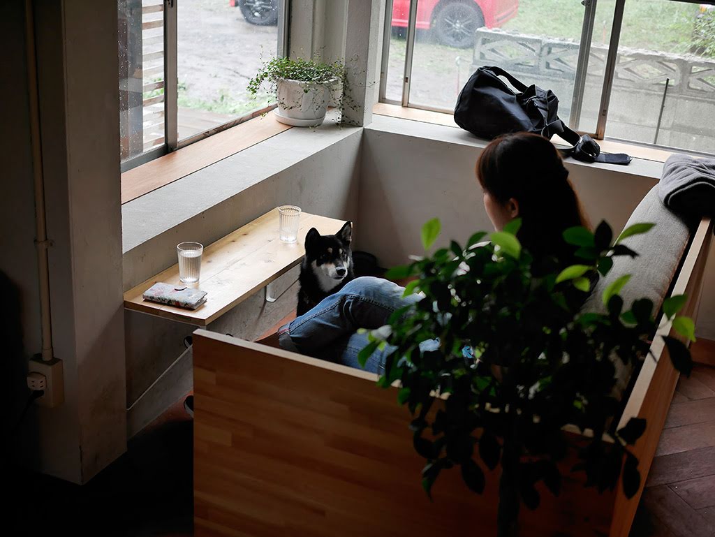 f:id:tsuruten:20210520093813j:plain