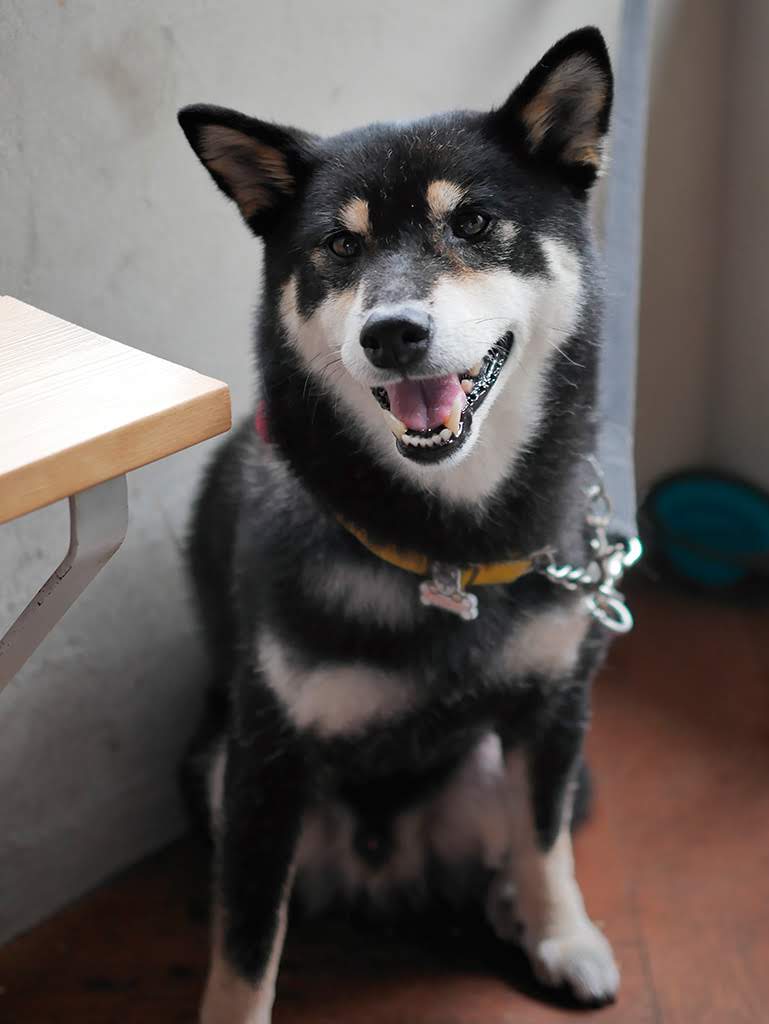 f:id:tsuruten:20210520094039j:plain