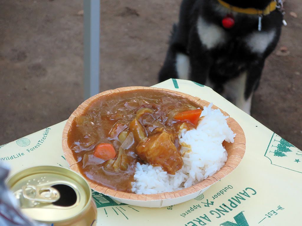 f:id:tsuruten:20210520095851j:plain