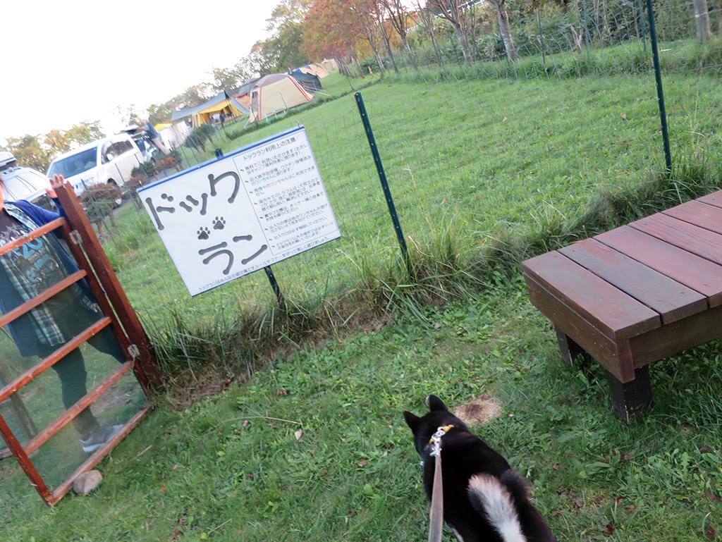 f:id:tsuruten:20210520095912j:plain