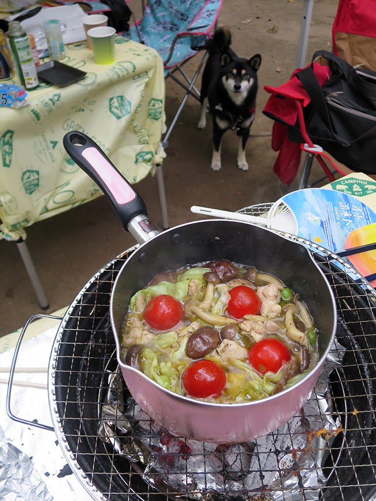 f:id:tsuruten:20210520100132j:plain