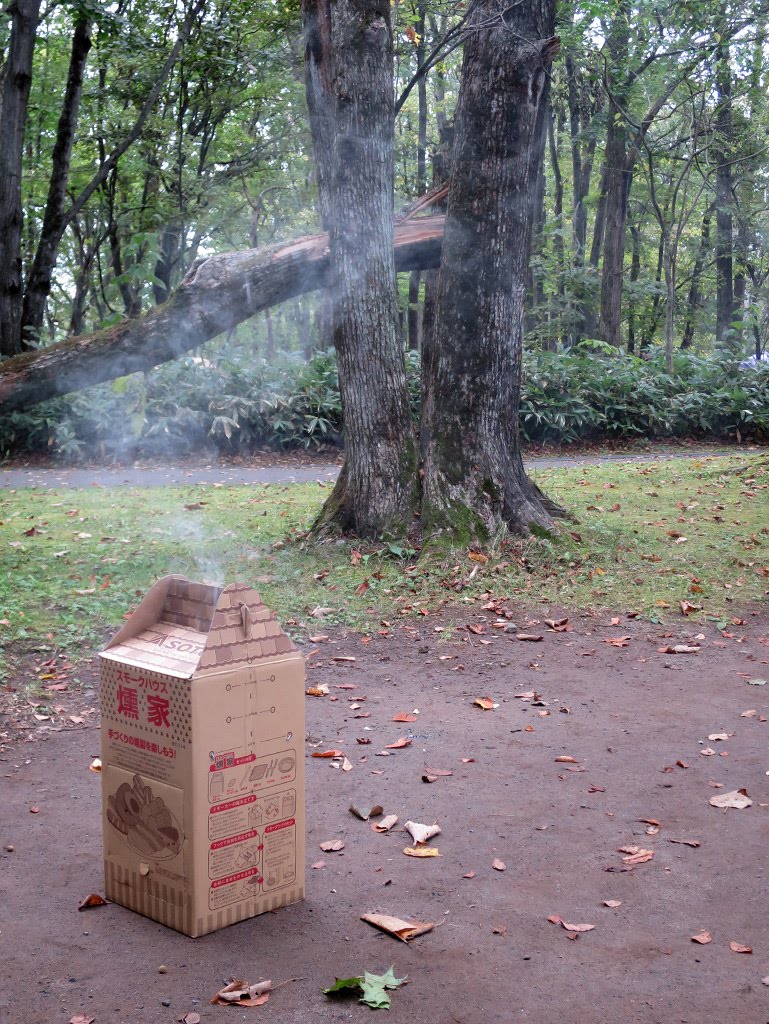 f:id:tsuruten:20210520100158j:plain