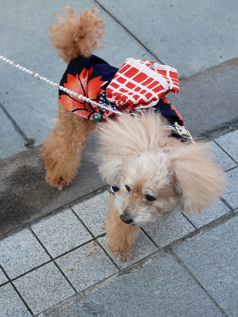 f:id:tsuruten:20210520100744j:plain