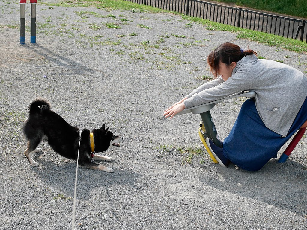 f:id:tsuruten:20210520101540j:plain