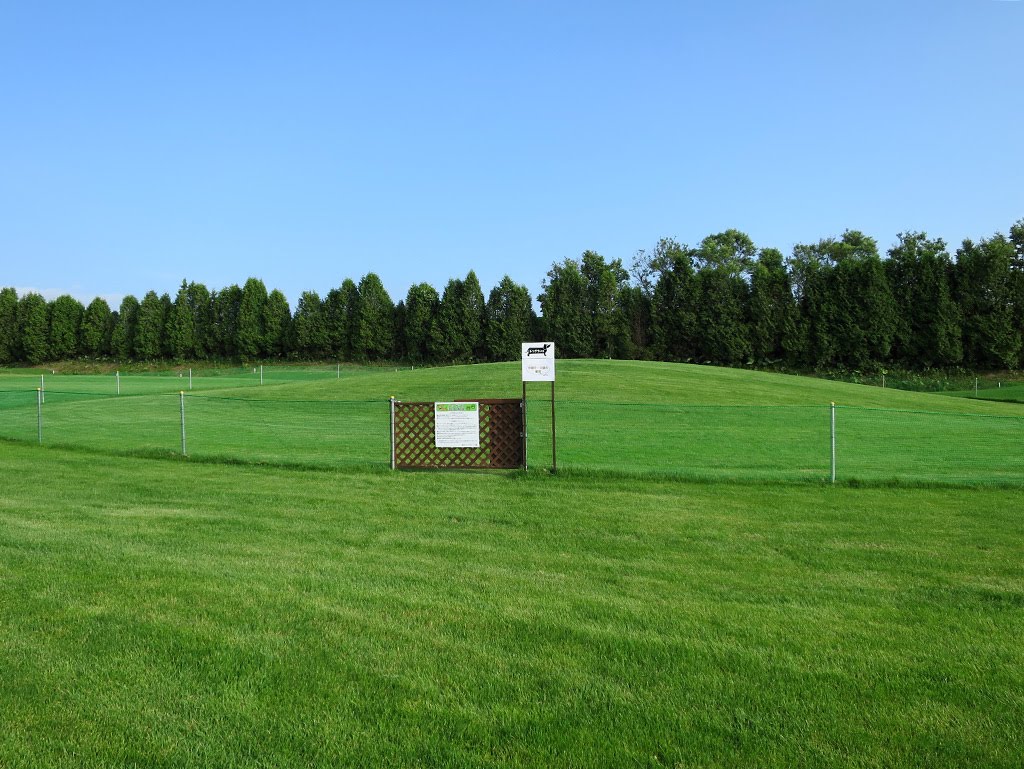 f:id:tsuruten:20210521142928j:plain