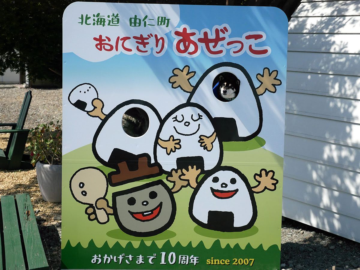 f:id:tsuruten:20210521144138j:plain