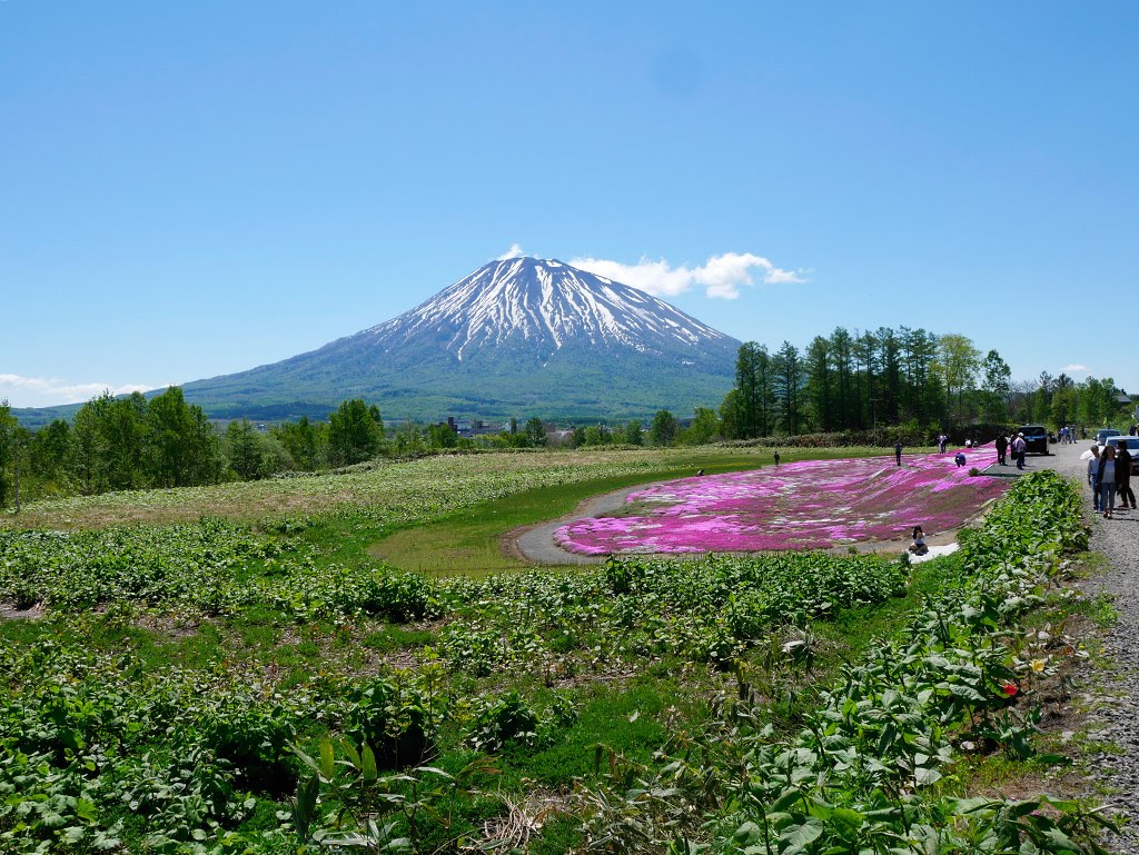 f:id:tsuruten:20210521154809j:plain