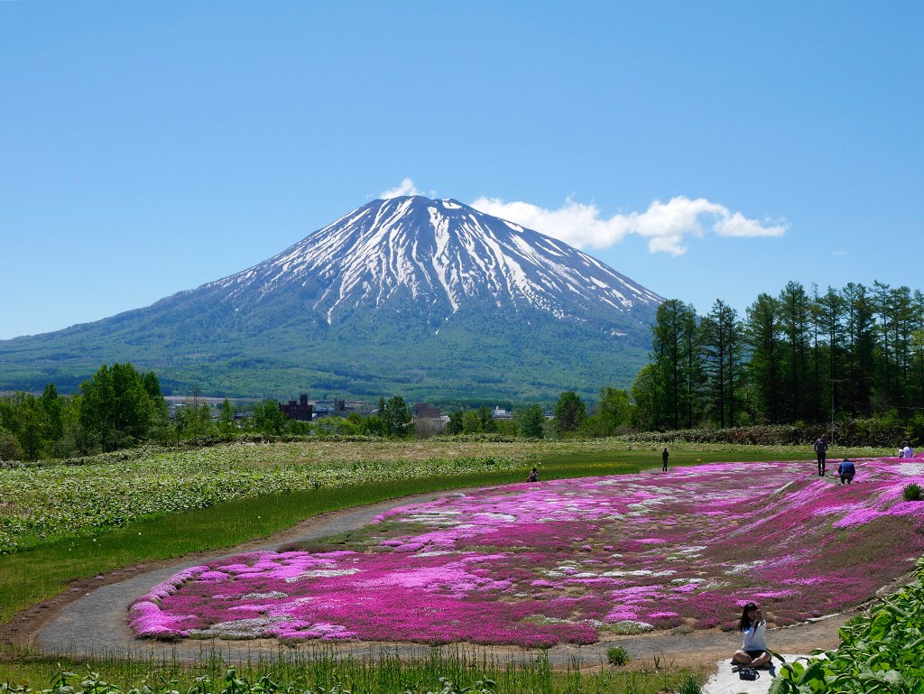 f:id:tsuruten:20210521154821j:plain