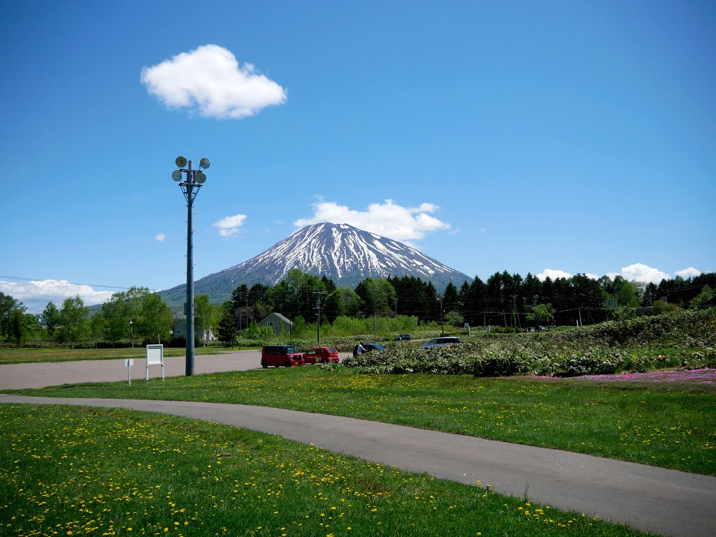 f:id:tsuruten:20210521155553j:plain