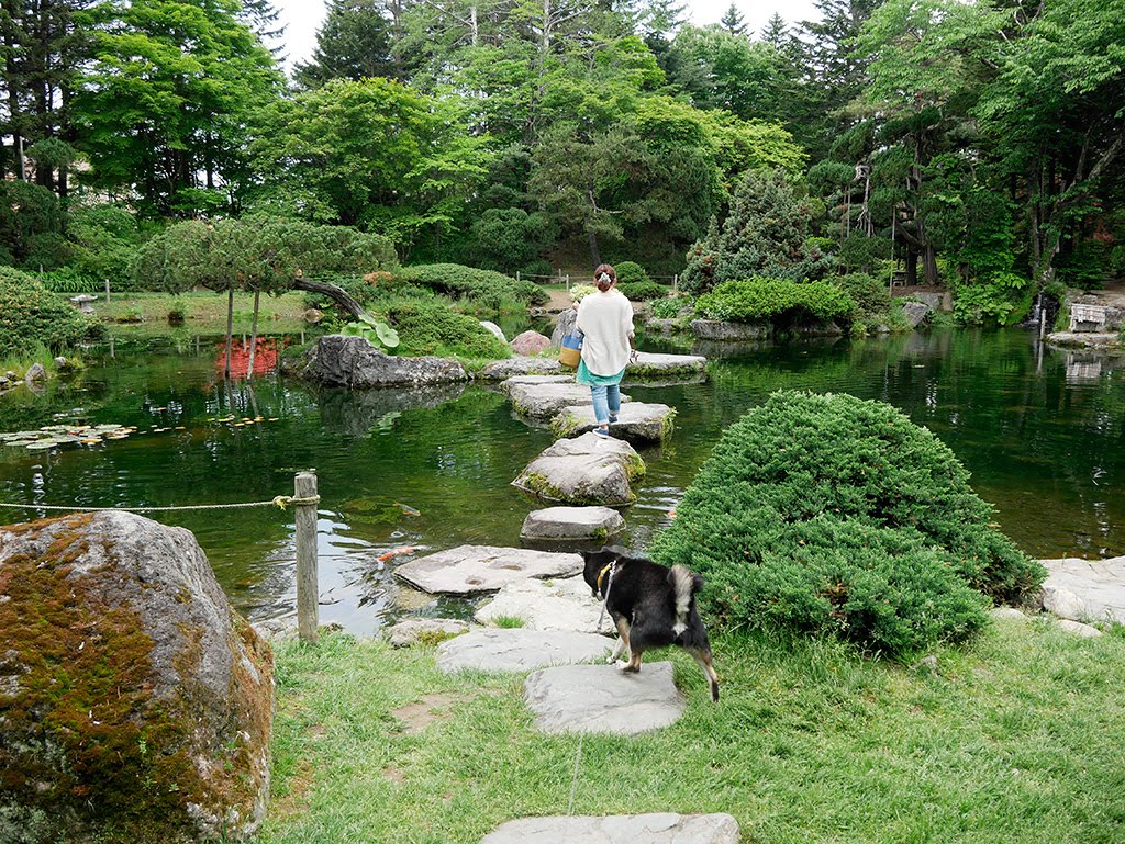 f:id:tsuruten:20210525101408j:plain