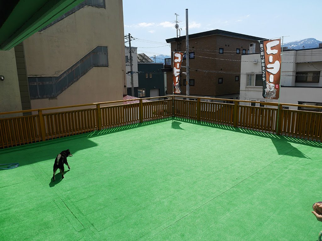 f:id:tsuruten:20210525103455j:plain