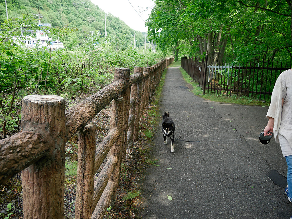 f:id:tsuruten:20210530124250j:plain