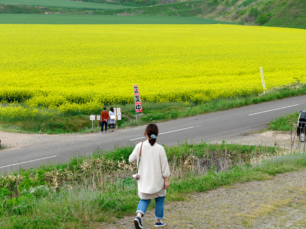 f:id:tsuruten:20210530124409j:plain