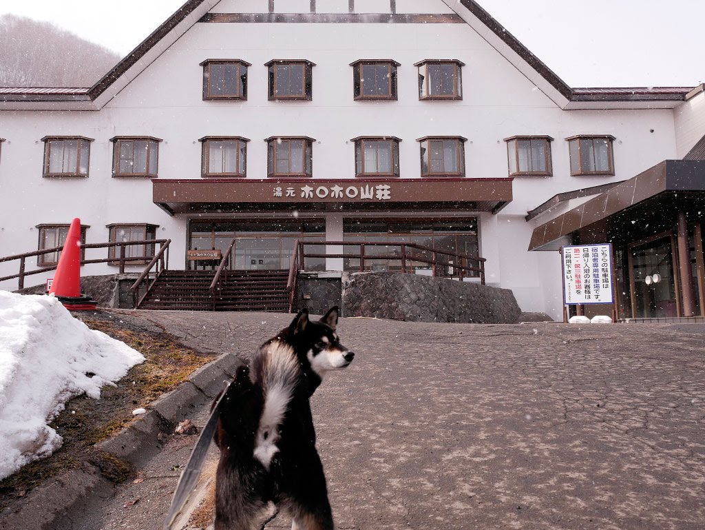 f:id:tsuruten:20210601151926j:plain