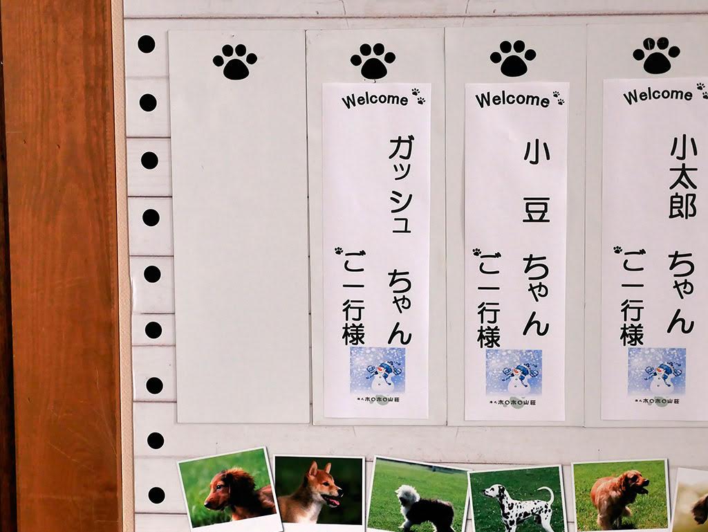 f:id:tsuruten:20210601152000j:plain