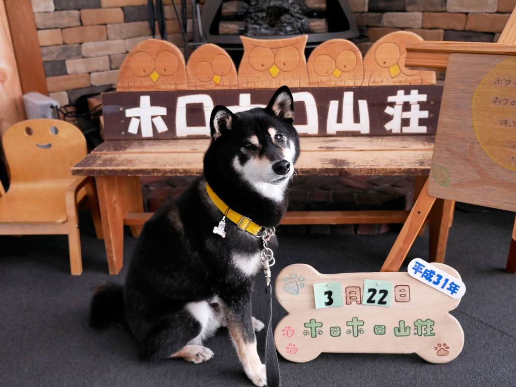 f:id:tsuruten:20210601152009j:plain