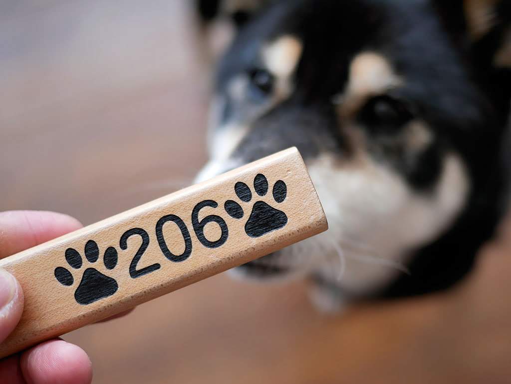 f:id:tsuruten:20210601152018j:plain