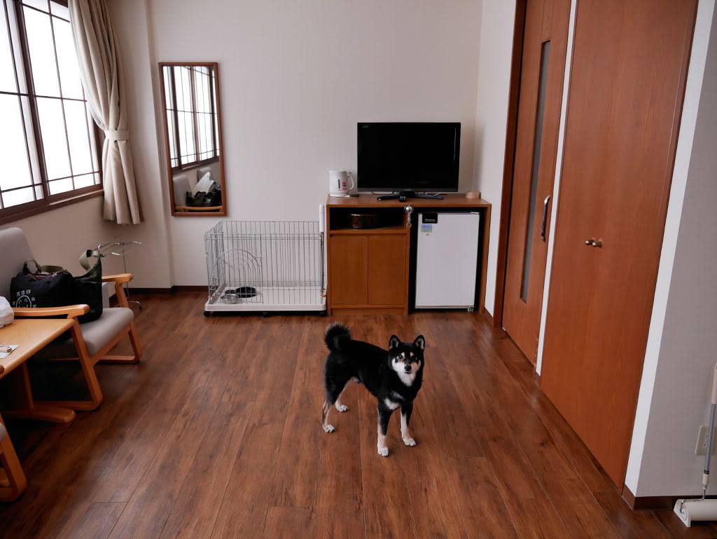 f:id:tsuruten:20210601152025j:plain