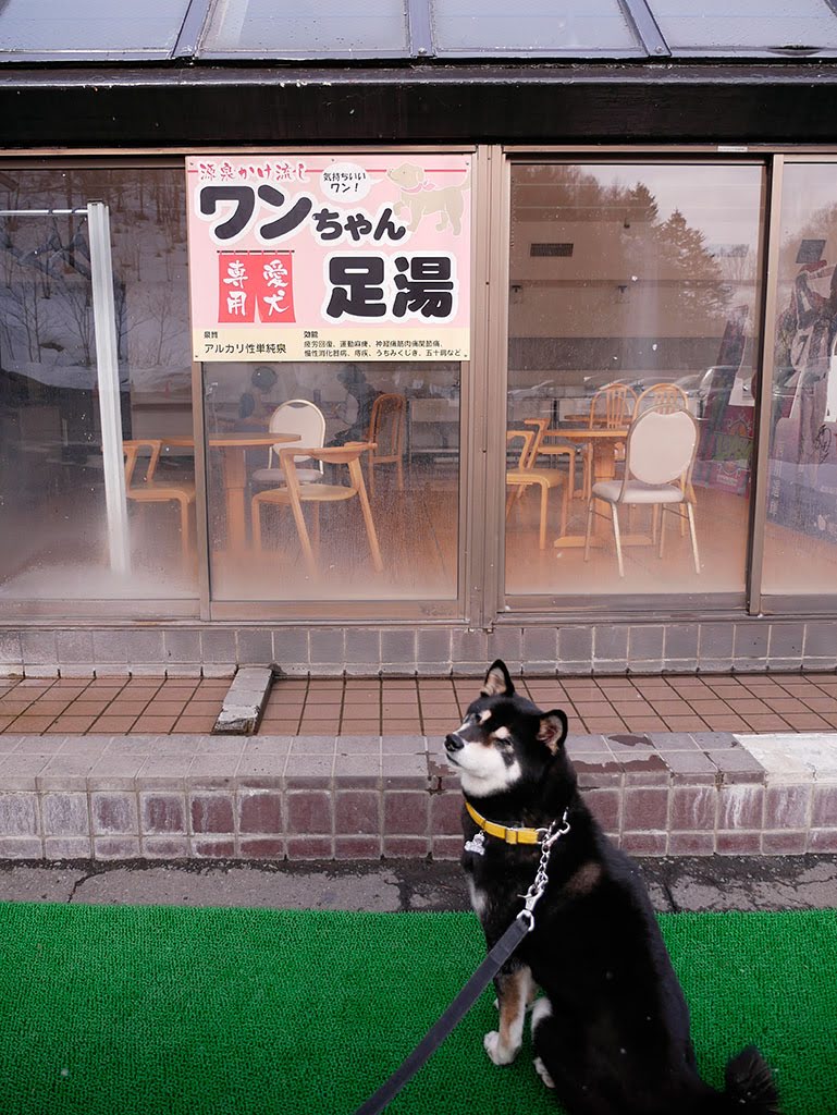 f:id:tsuruten:20210601152128j:plain