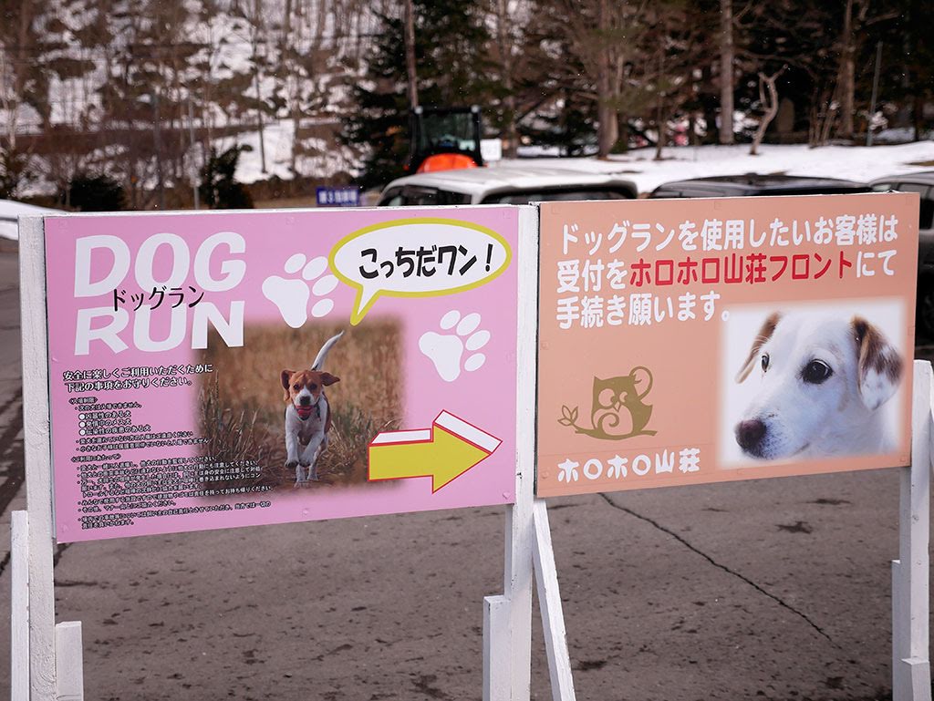 f:id:tsuruten:20210601152136j:plain