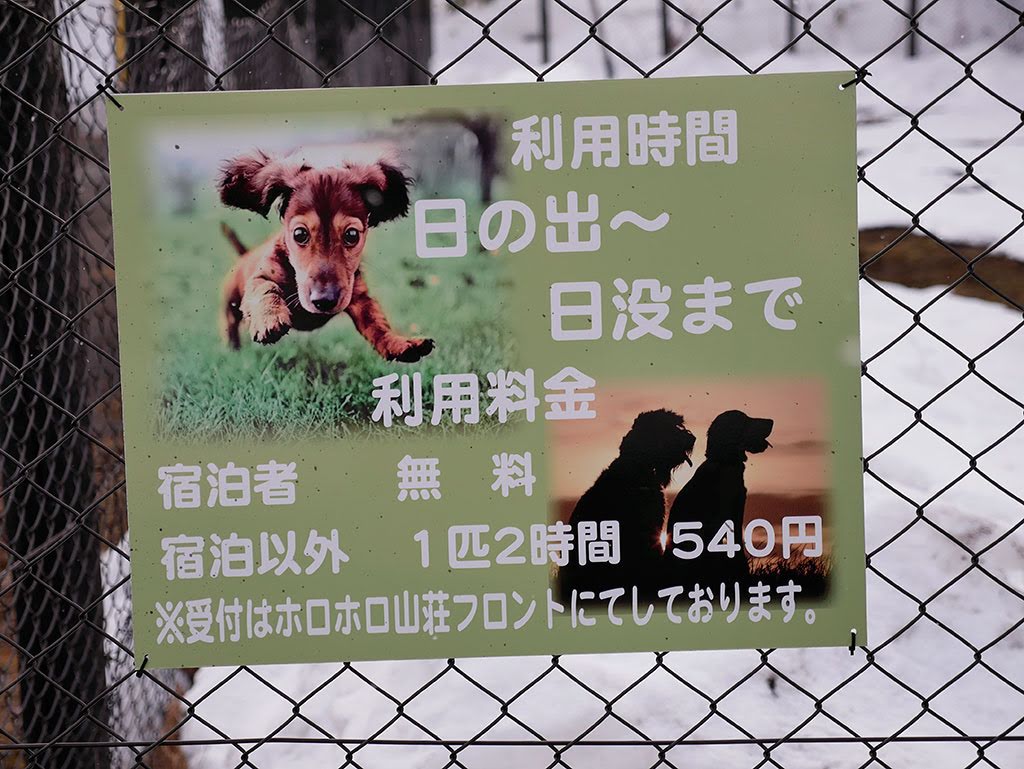 f:id:tsuruten:20210601152143j:plain