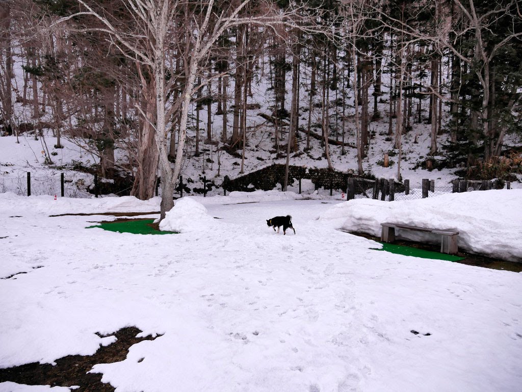 f:id:tsuruten:20210601152155j:plain