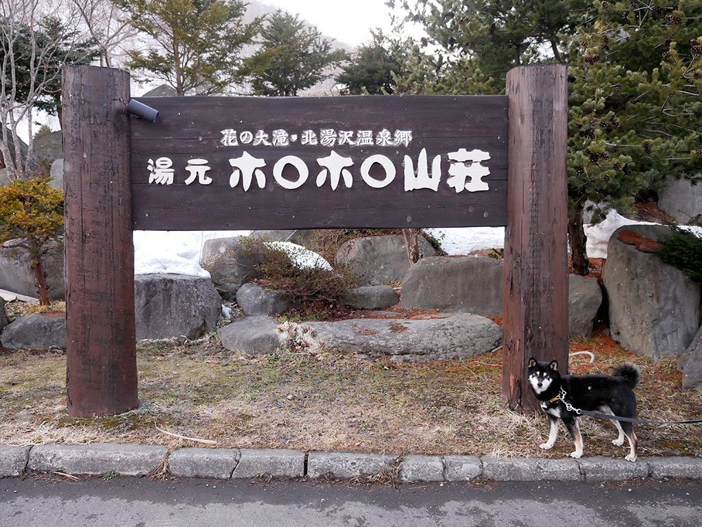 f:id:tsuruten:20210601152201j:plain