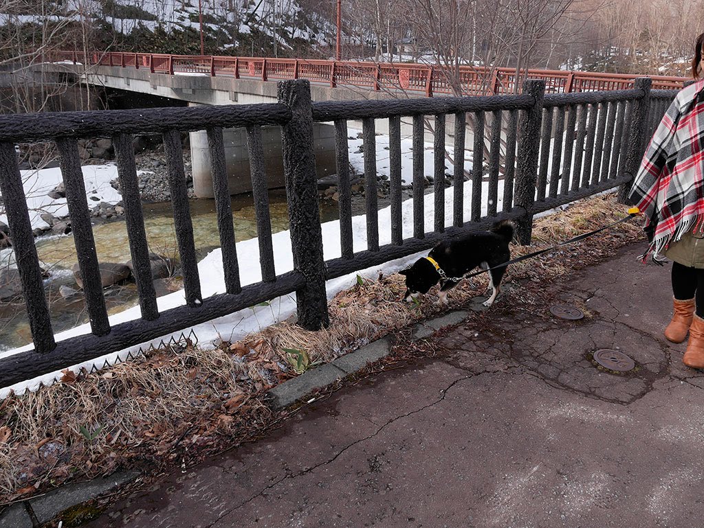 f:id:tsuruten:20210601152207j:plain